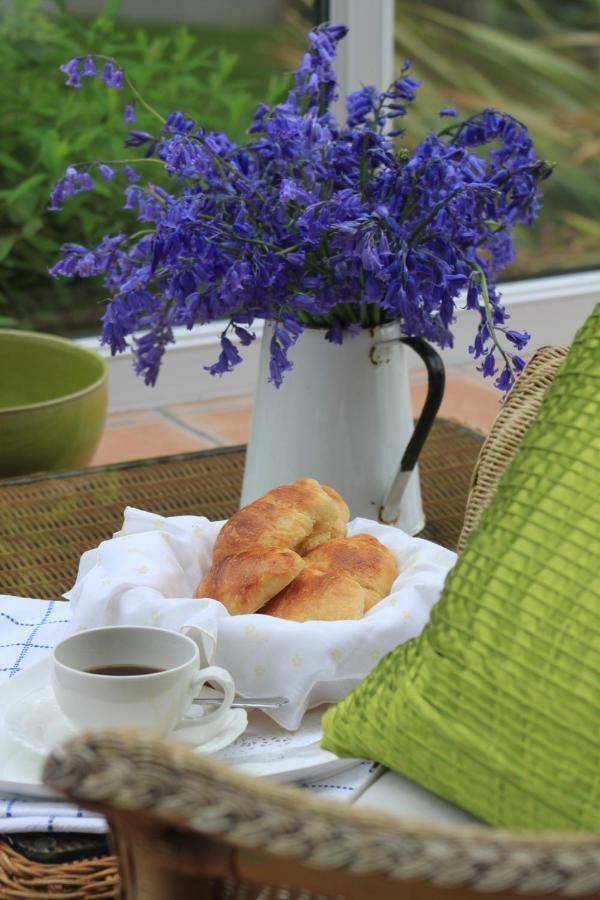 Ty Llwyd Bed and Breakfast Treffynnon Exteriör bild